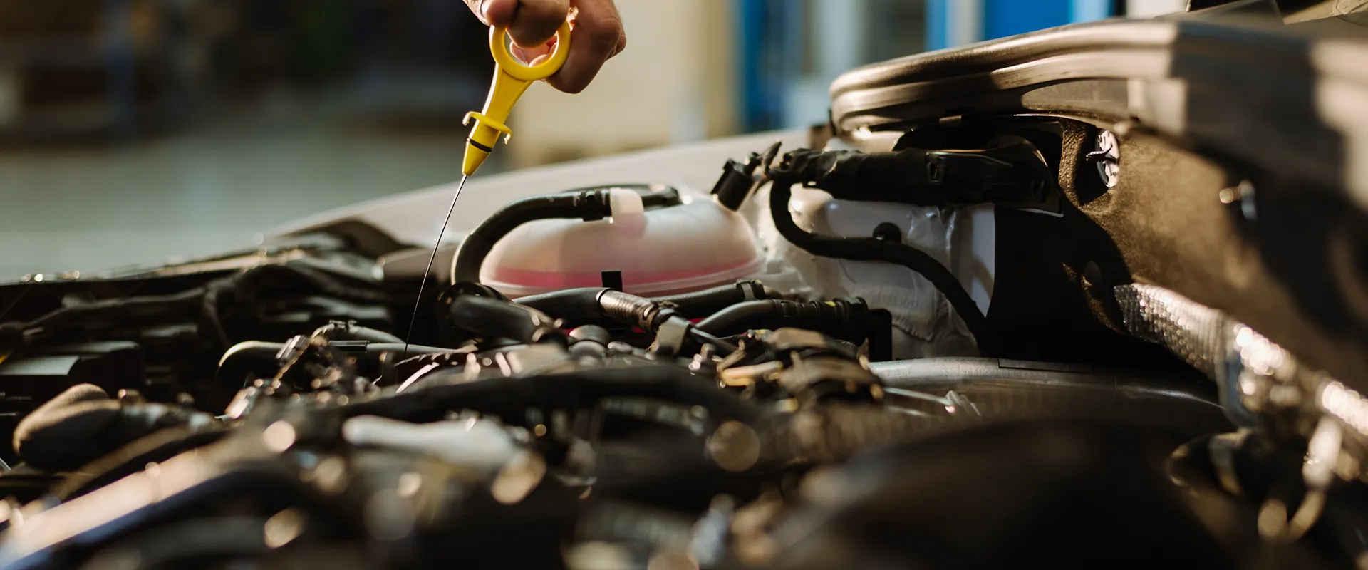 Differential Oil Service near Sarasota, FL