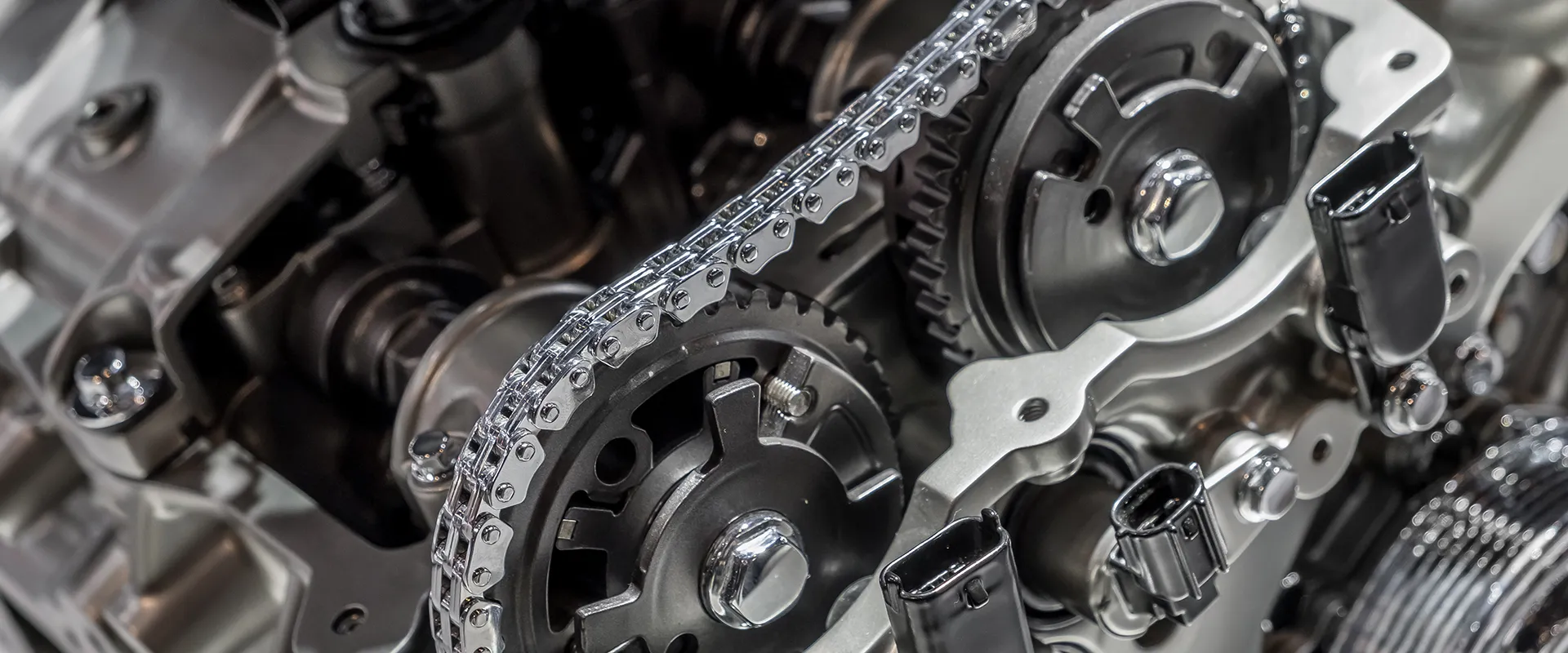 Timing Chains near Sarasota, FL